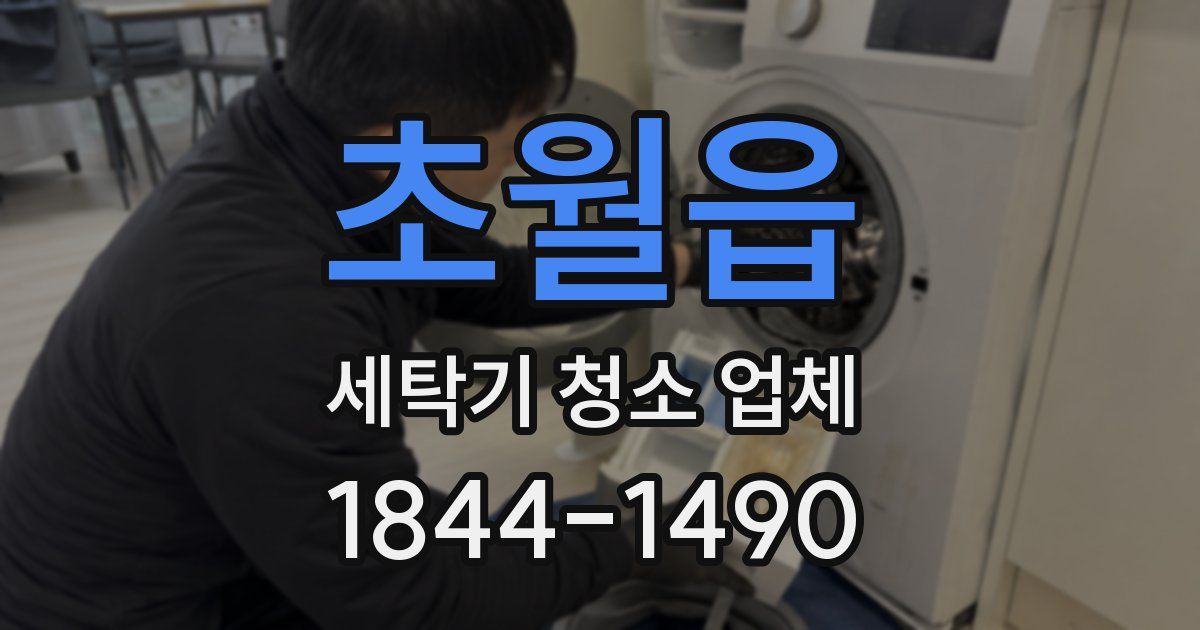 초월읍 세탁기 청소 업체