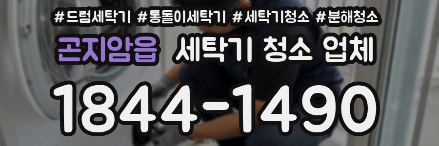 곤지암읍 세탁기 청소 업체