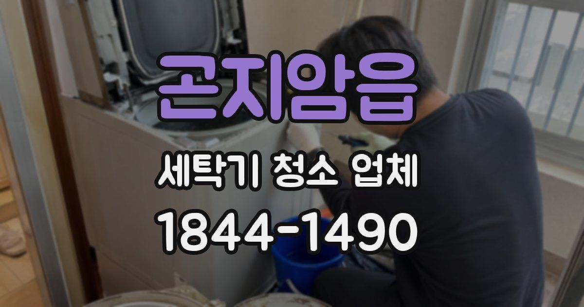 곤지암읍 세탁기 청소 업체
