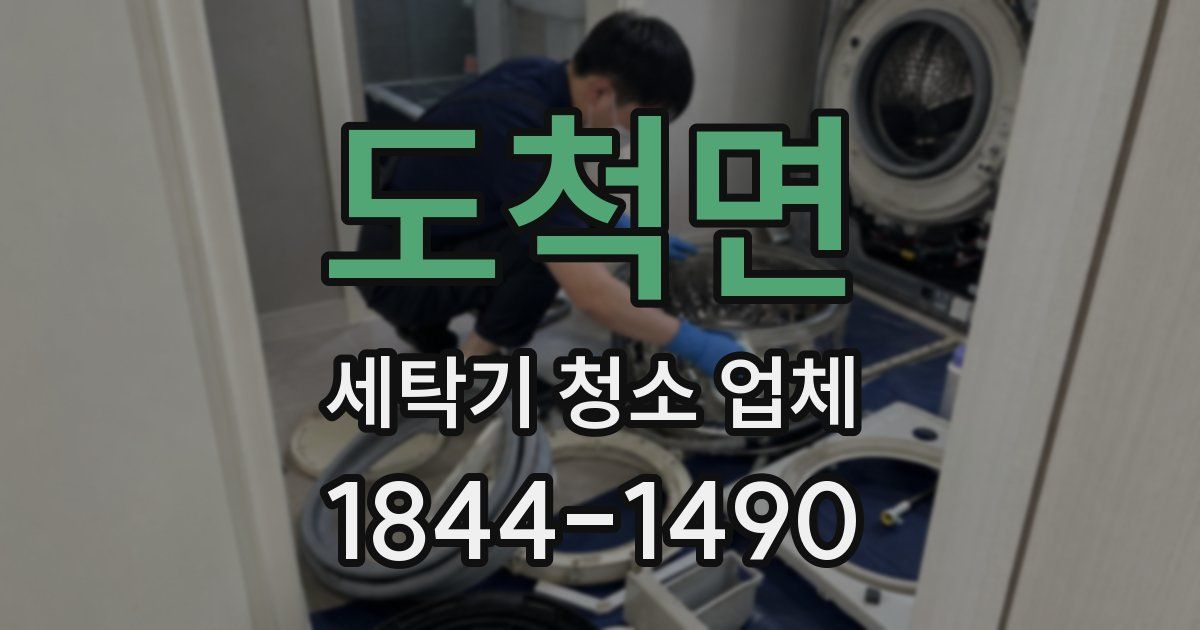 도척면 세탁기 청소 업체