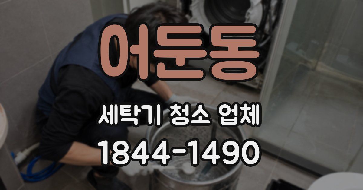 어둔동 세탁기 청소 업체