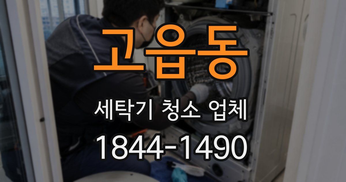 고읍동 세탁기 청소 업체