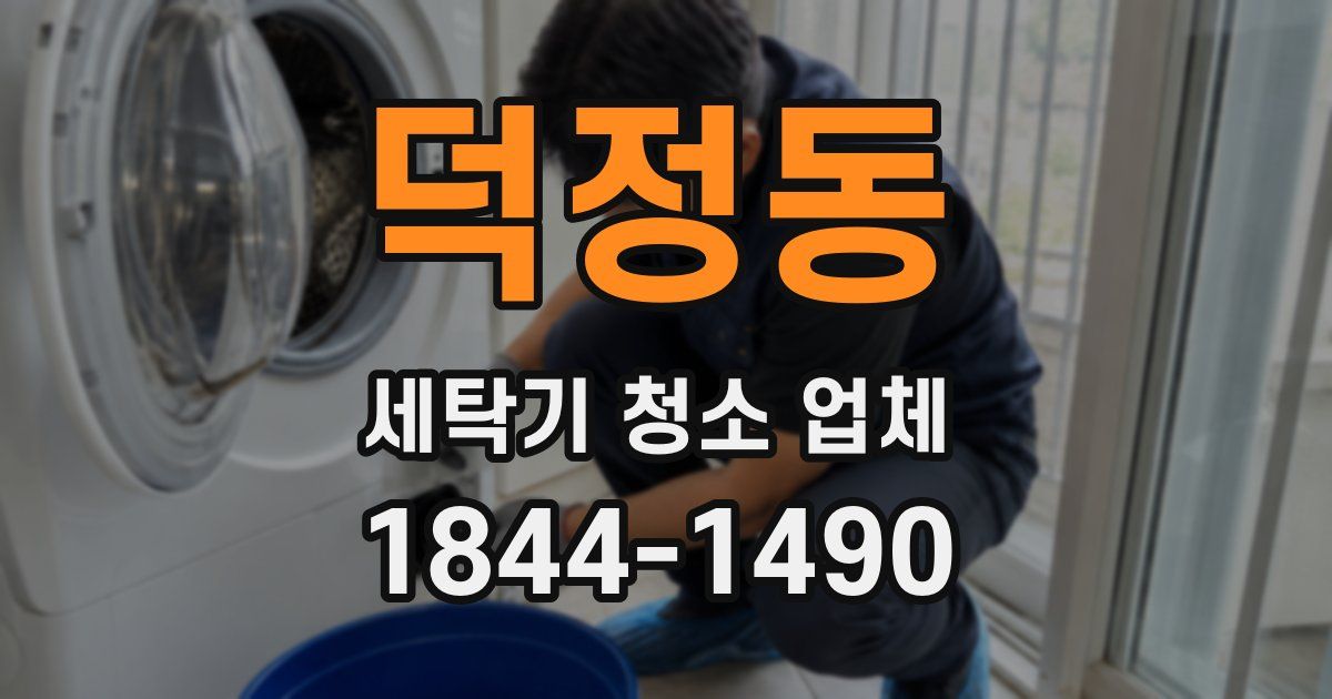 덕정동 세탁기 청소 업체