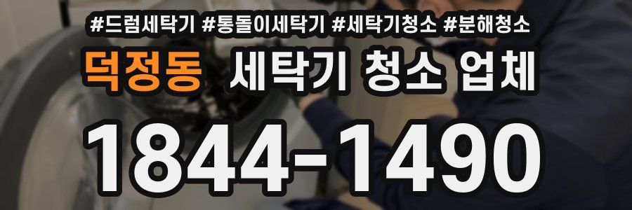 덕정동 세탁기 청소 업체