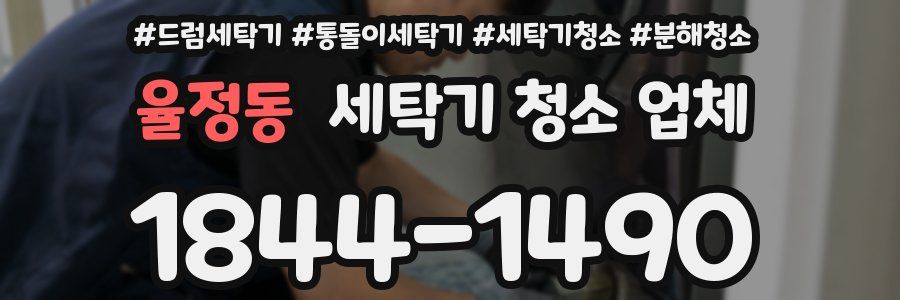 율정동 세탁기 청소 업체