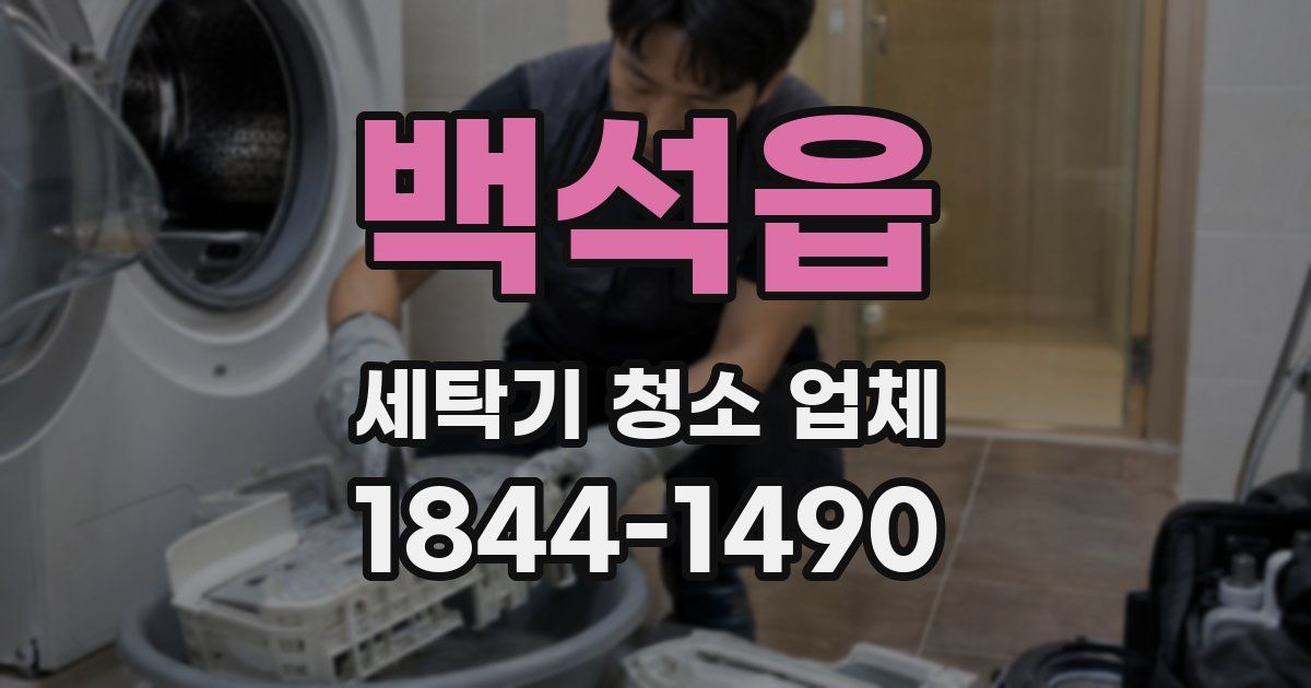 백석읍 세탁기 청소 업체