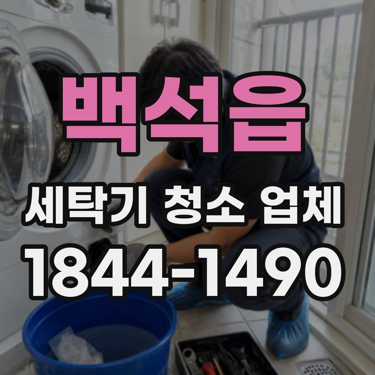 백석읍 세탁기 청소 업체
