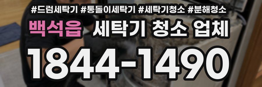 백석읍 세탁기 청소 업체