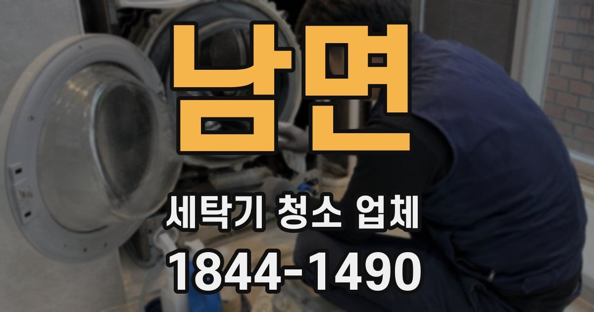 남면 세탁기 청소 업체