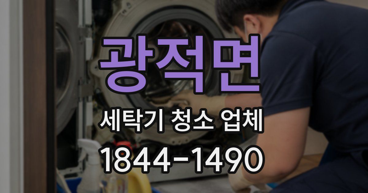 광적면 세탁기 청소 업체