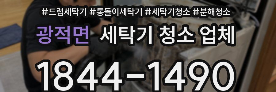 광적면 세탁기 청소 업체