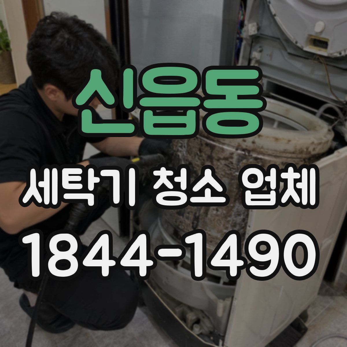 신읍동 세탁기 청소 업체