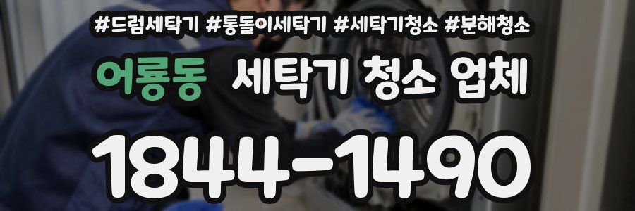 어룡동 세탁기 청소 업체