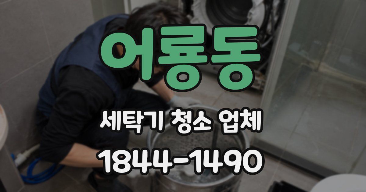 어룡동 세탁기 청소 업체