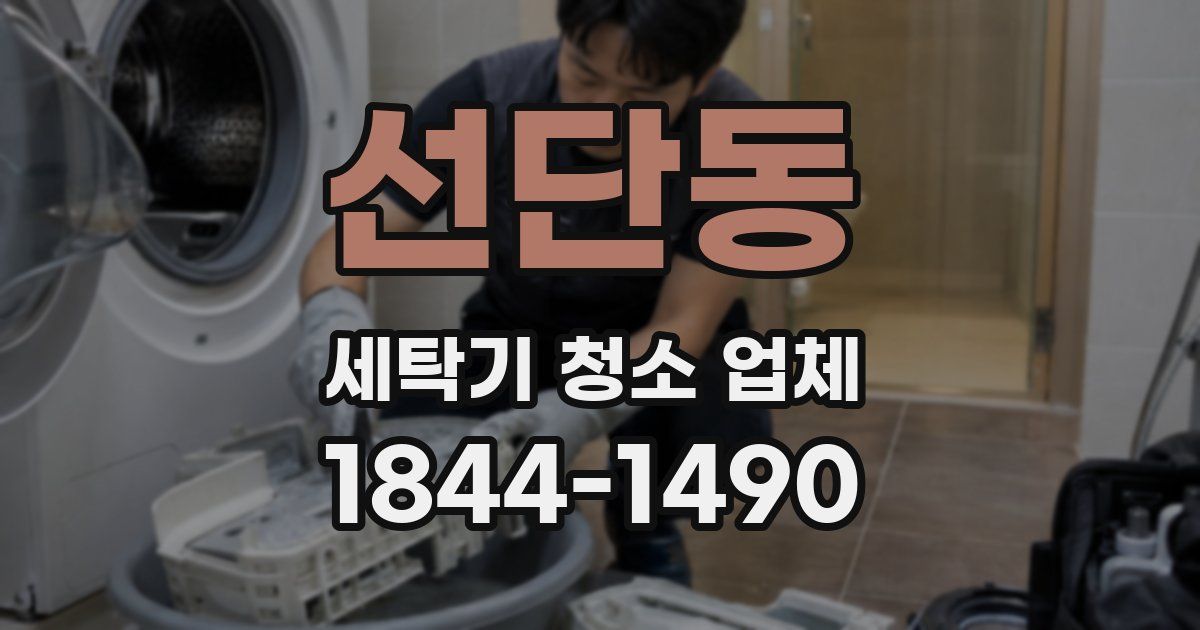 선단동 세탁기 청소 업체