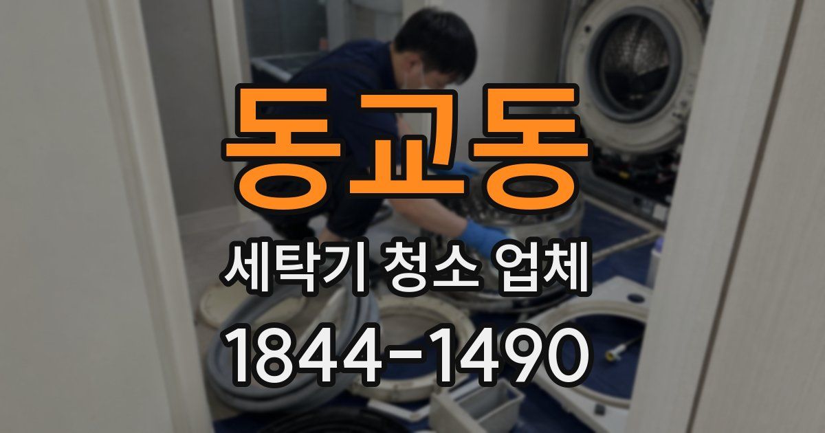 동교동 세탁기 청소 업체