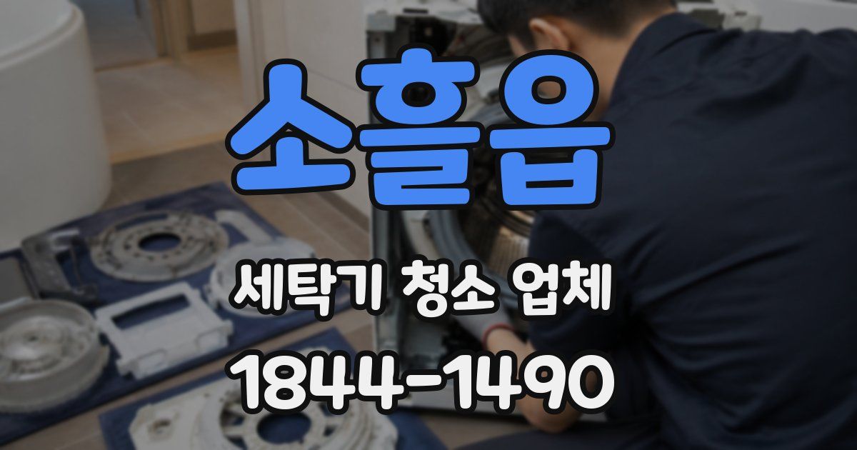 소흘읍 세탁기 청소 업체