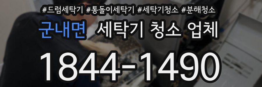 군내면 세탁기 청소 업체