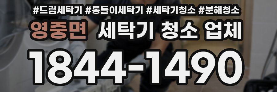영중면 세탁기 청소 업체
