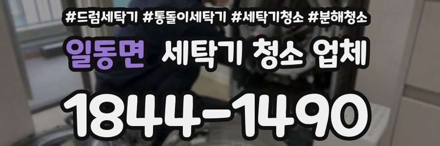 일동면 세탁기 청소 업체