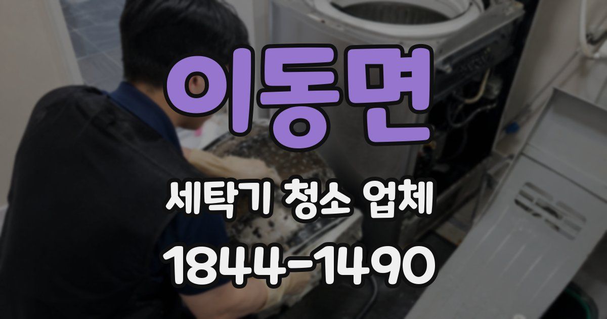 이동면 세탁기 청소 업체