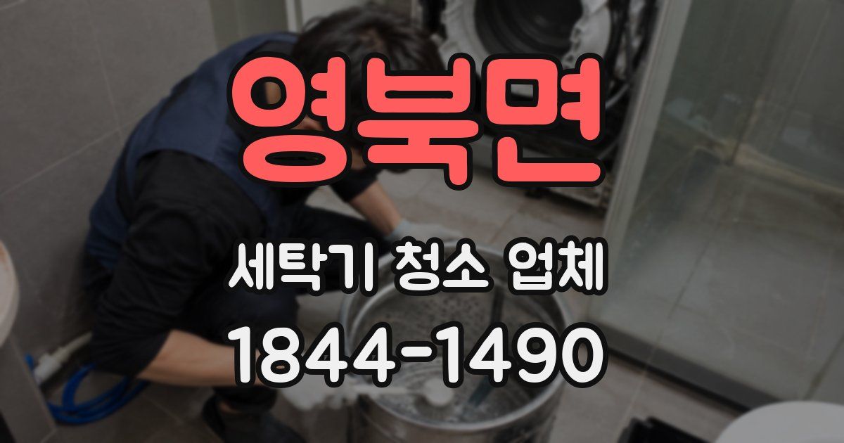 영북면 세탁기 청소 업체