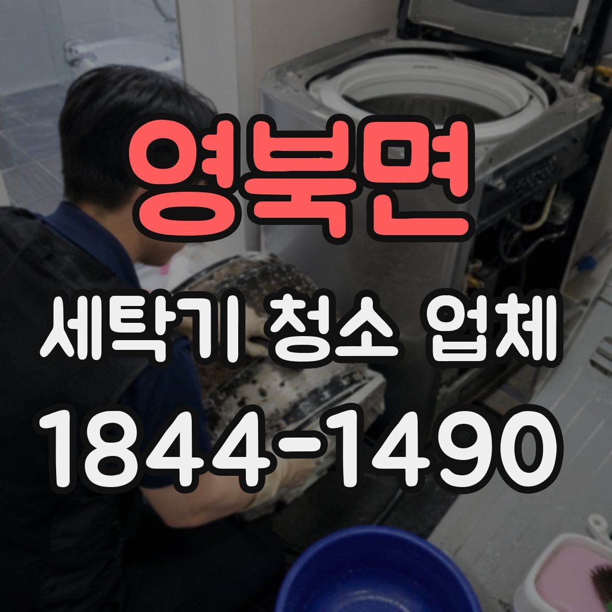 영북면 세탁기 청소 업체
