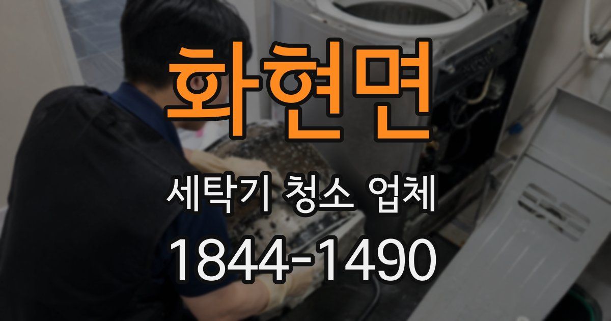 화현면 세탁기 청소 업체