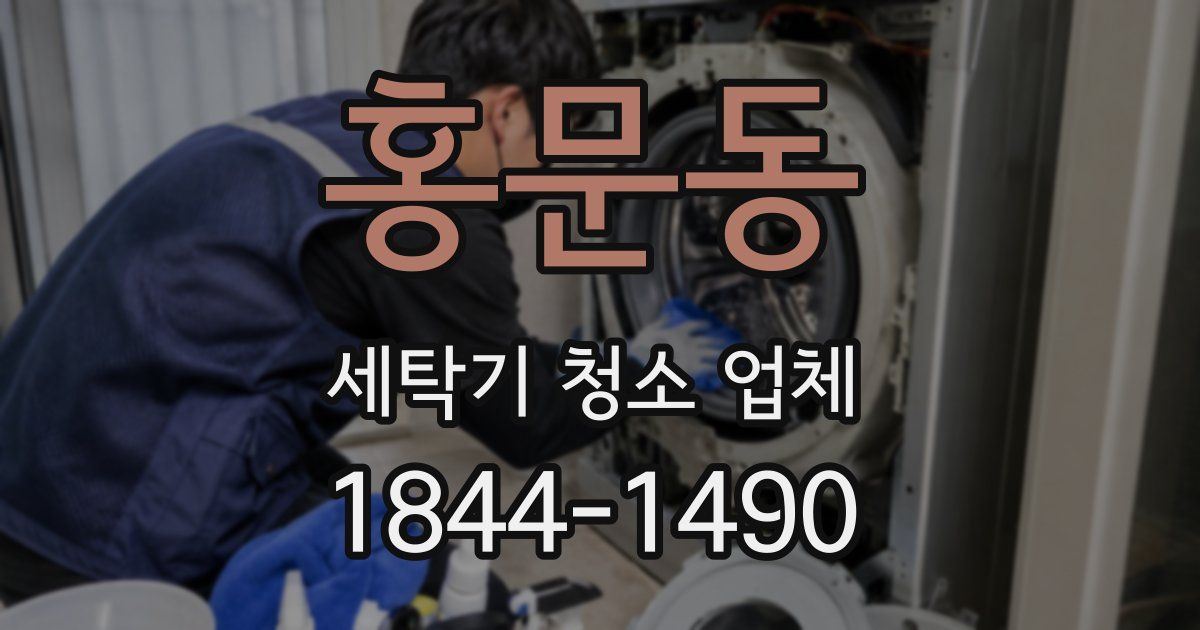 홍문동 세탁기 청소 업체
