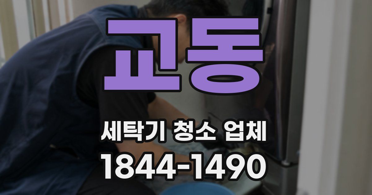 교동 세탁기 청소 업체