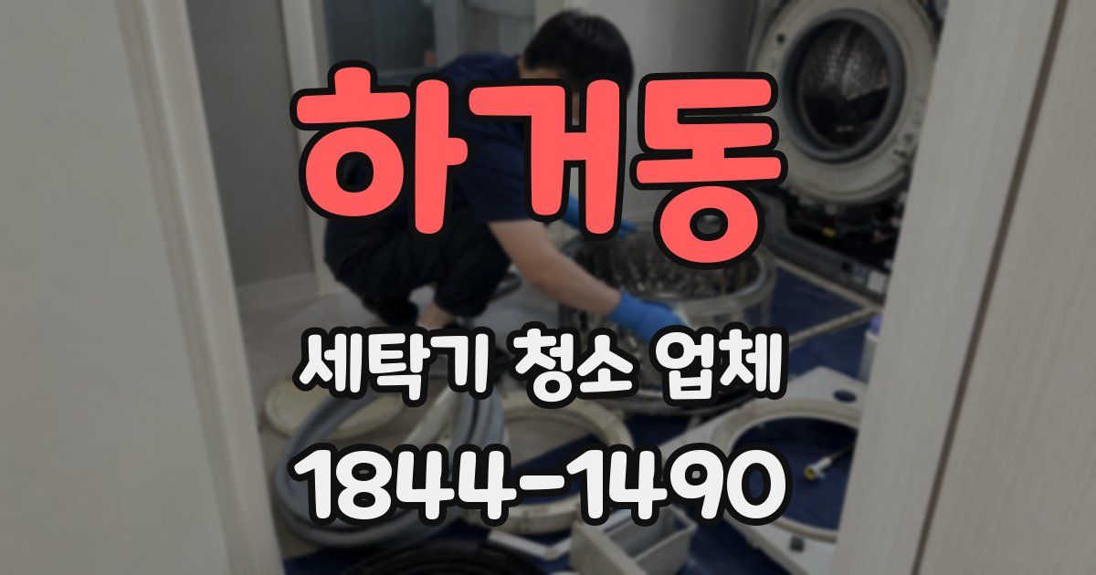 하거동 세탁기 청소 업체