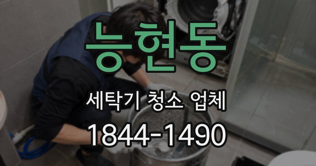 능현동 세탁기 청소 업체