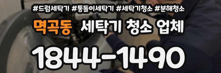 멱곡동 세탁기 청소 업체