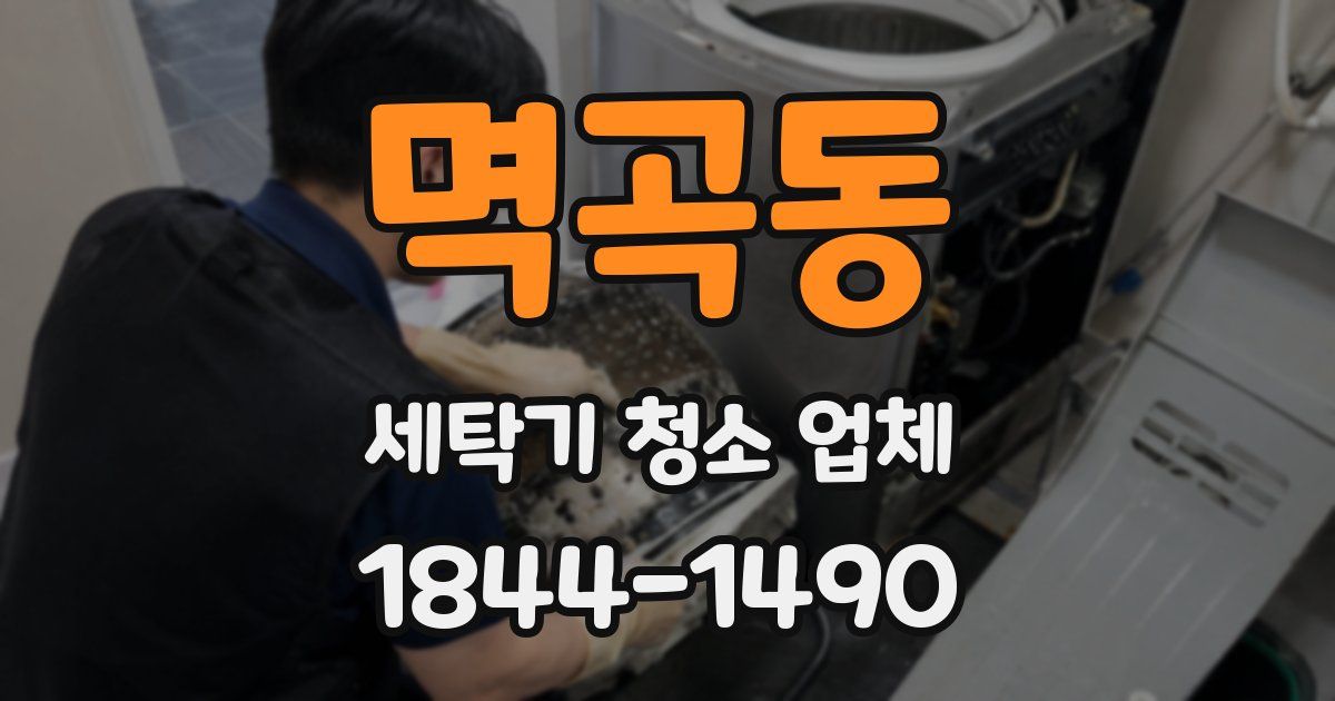 멱곡동 세탁기 청소 업체