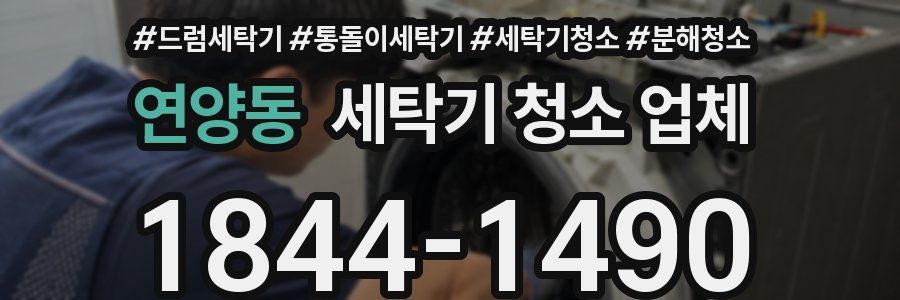 연양동 세탁기 청소 업체