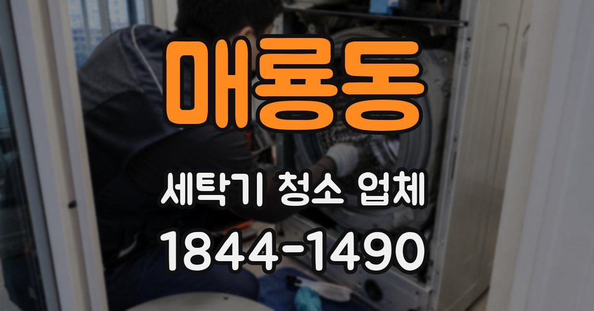 매룡동 세탁기 청소 업체