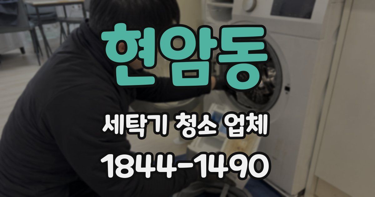 현암동 세탁기 청소 업체