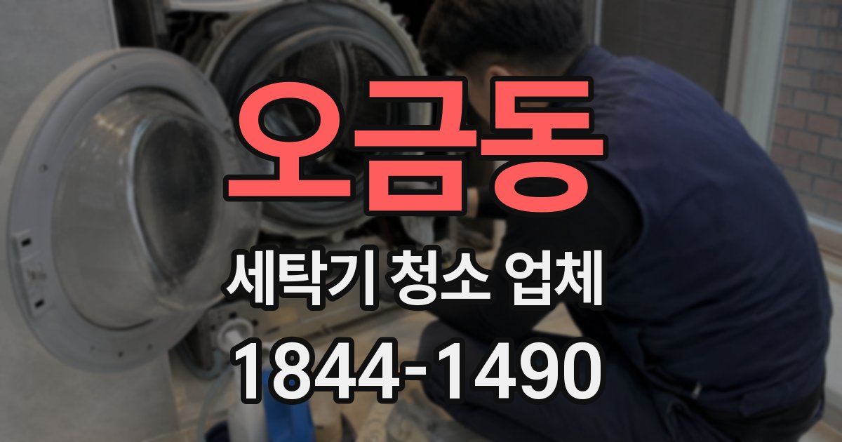 오금동 세탁기 청소 업체