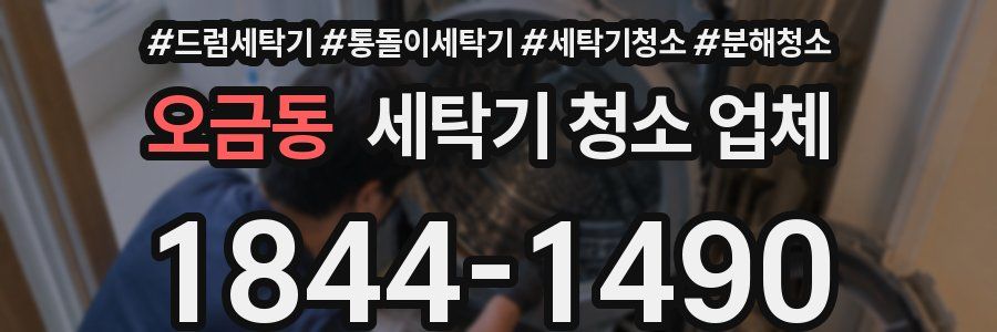 오금동 세탁기 청소 업체