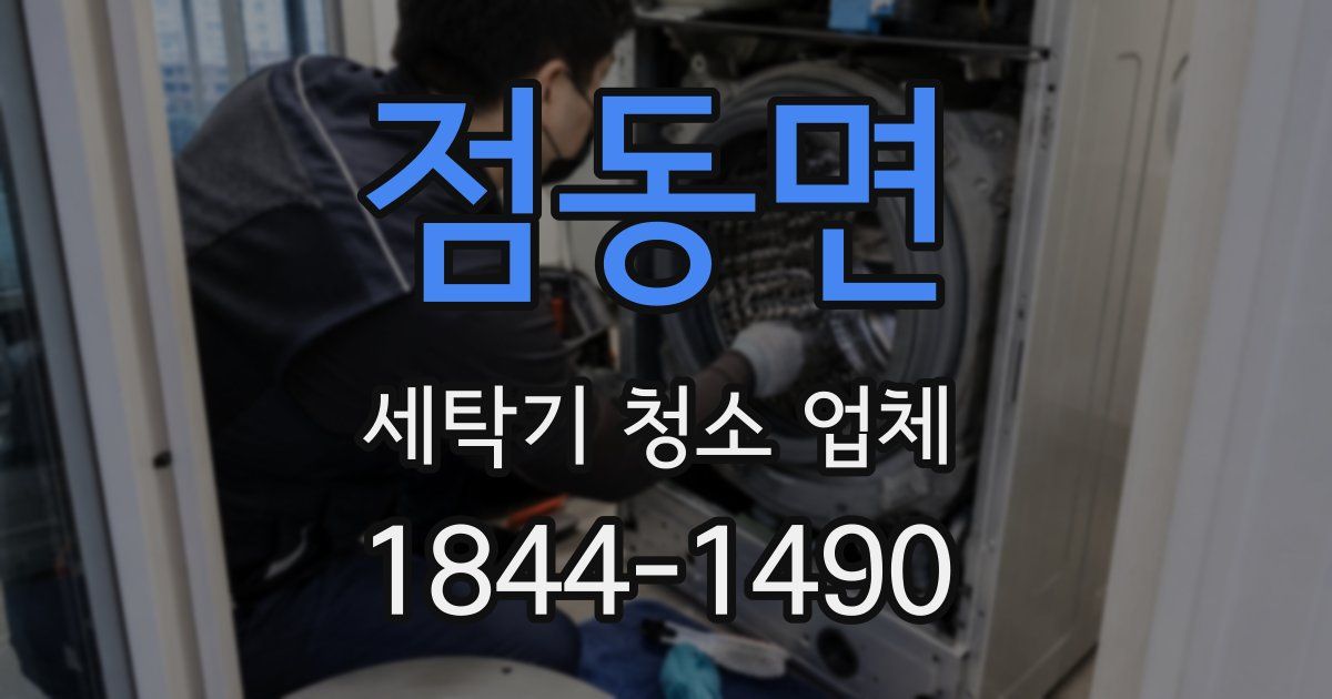점동면 세탁기 청소 업체
