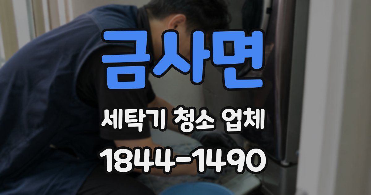 금사면 세탁기 청소 업체