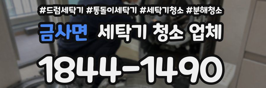 금사면 세탁기 청소 업체