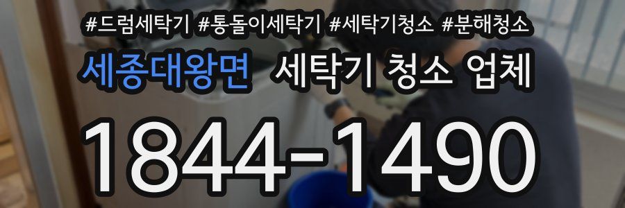 세종대왕면 세탁기 청소 업체