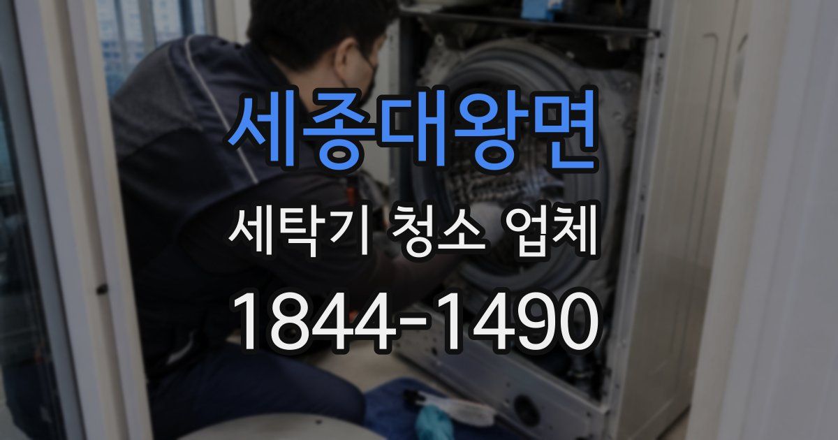 세종대왕면 세탁기 청소 업체