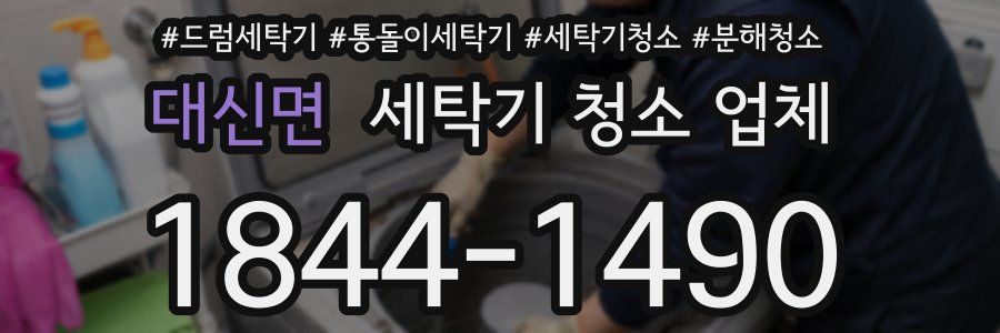 대신면 세탁기 청소 업체