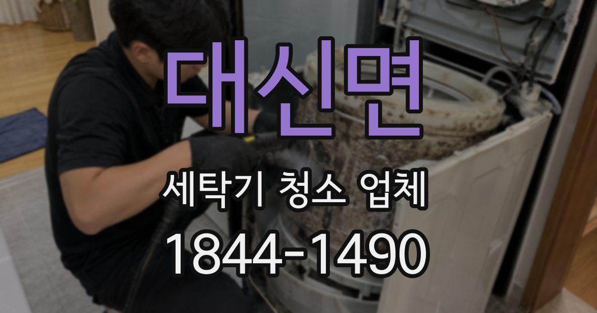 대신면 세탁기 청소 업체