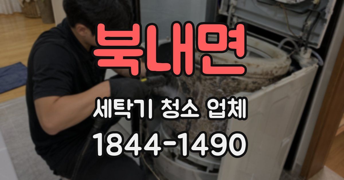 북내면 세탁기 청소 업체