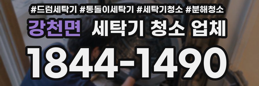 강천면 세탁기 청소 업체