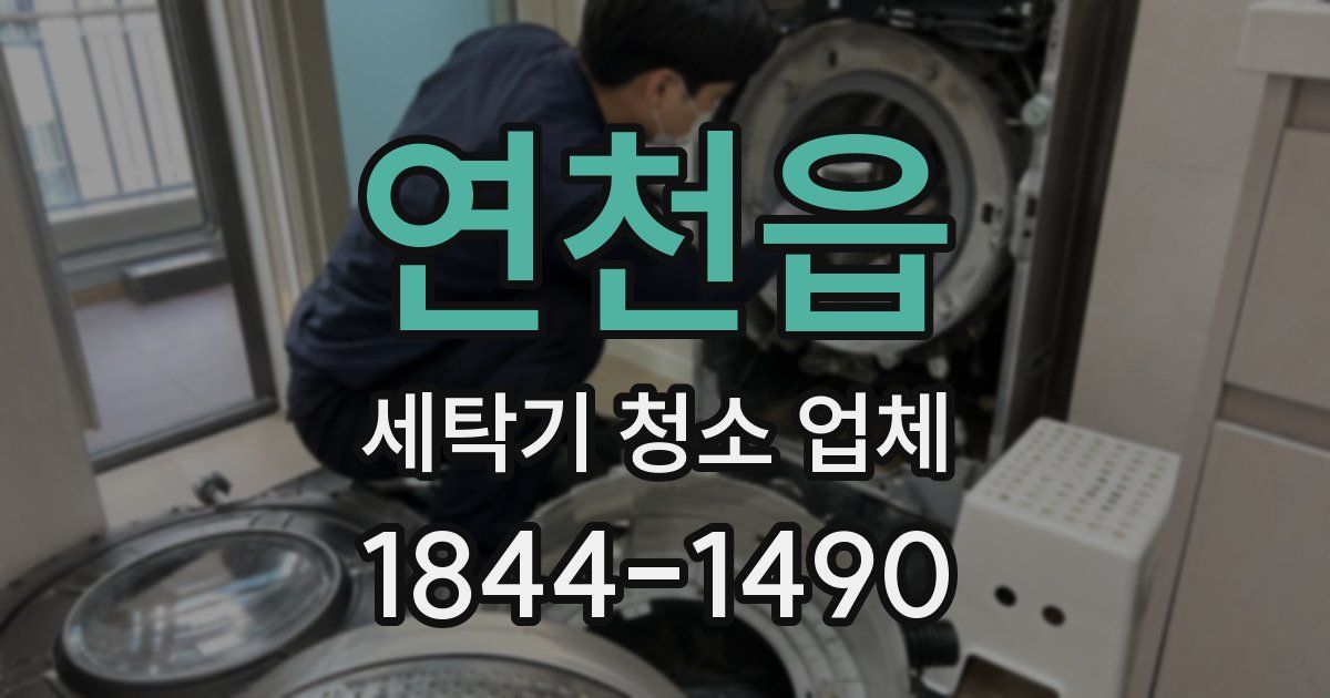 연천읍 세탁기 청소 업체