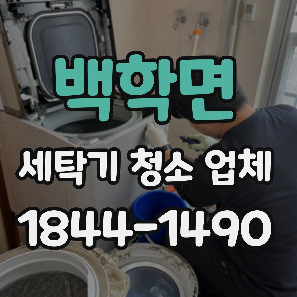 백학면 세탁기 청소 업체